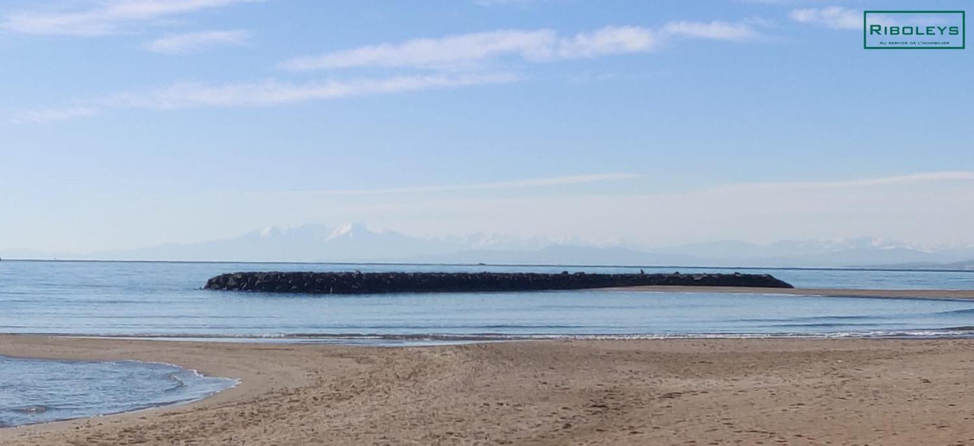 Superbe T3 Climatise Avec Wifi A 400M De La Plage Vias Buitenkant foto
